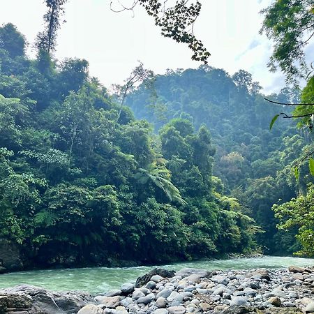 Charlys Little House Hotel Bukit Lawang Exterior photo