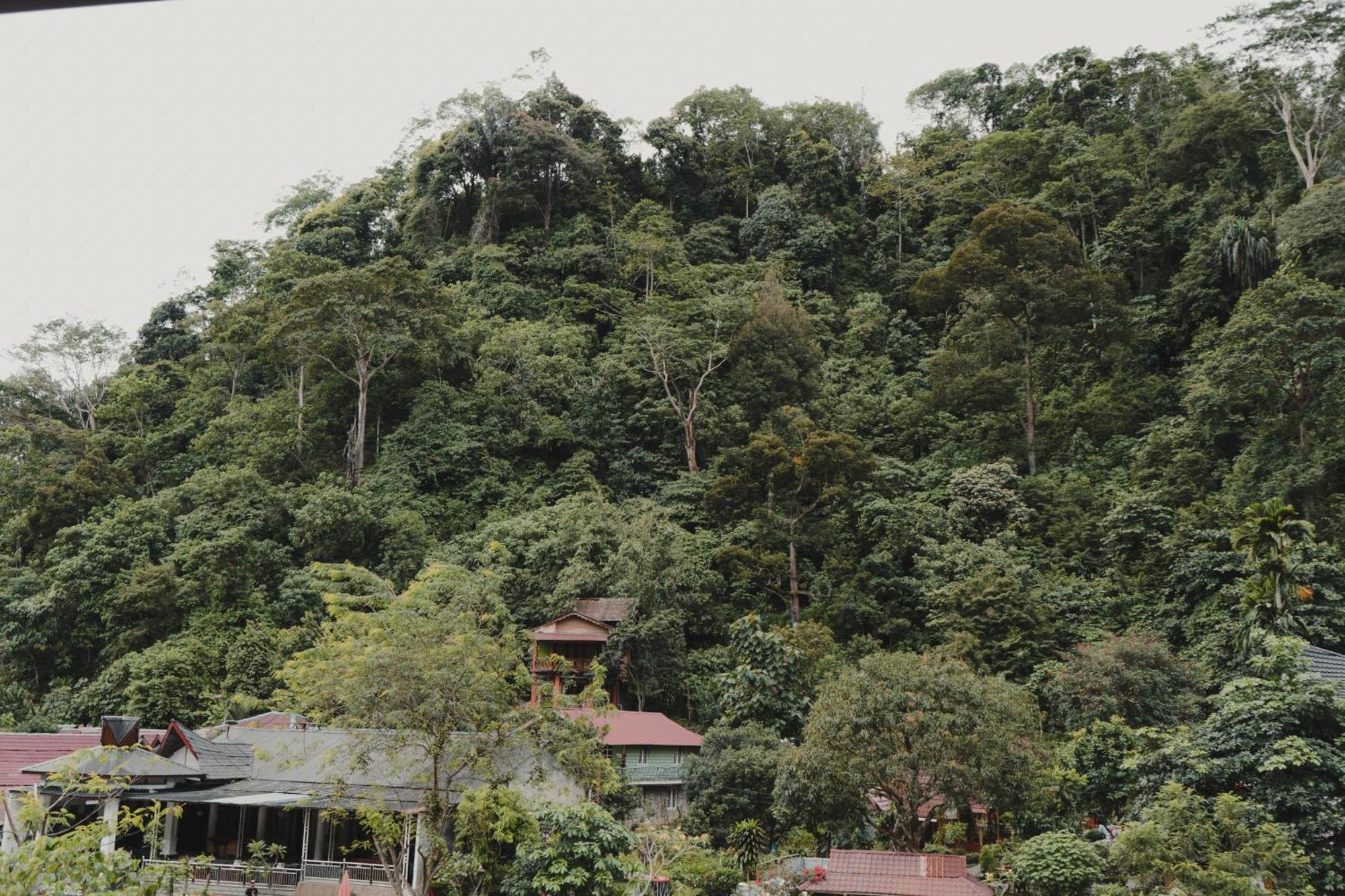 Charlys Little House Hotel Bukit Lawang Exterior photo