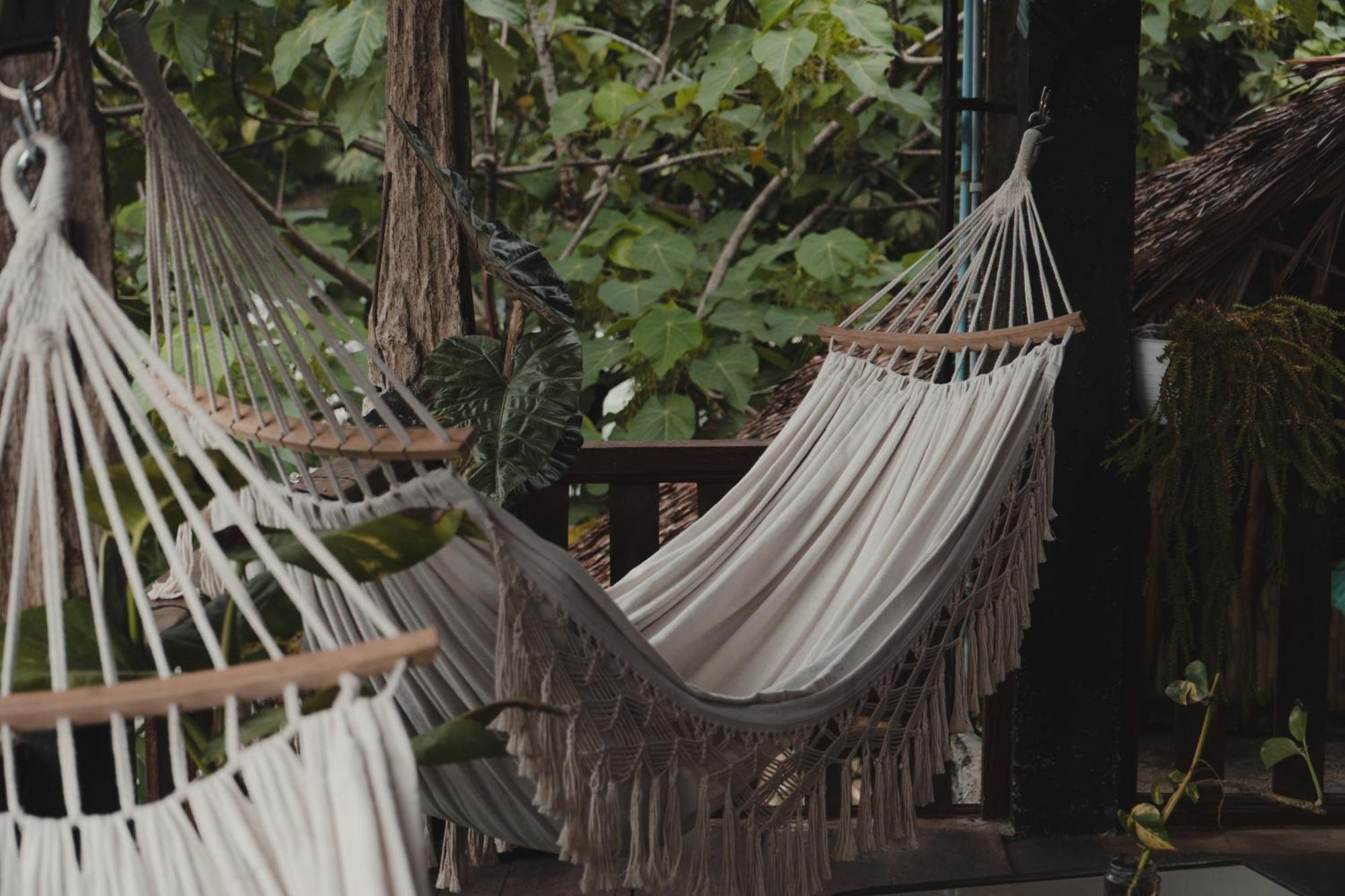 Charlys Little House Hotel Bukit Lawang Exterior photo